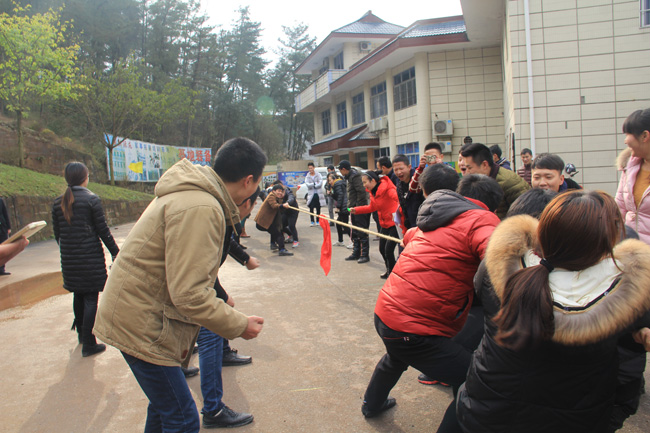 2015������T���L(f��ng)��